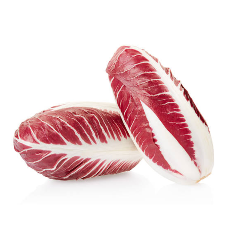 RED ENDIVE BELGIUM (~1KG) - KOJAVM