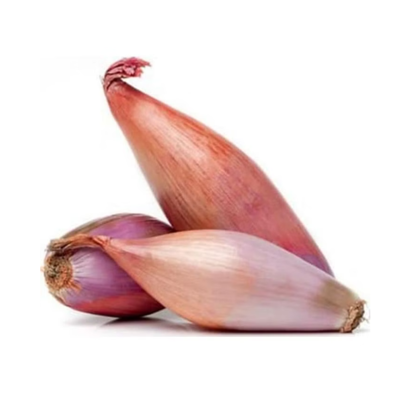 BANANA SHALLOTS NETHERLAND (500G) - KOJAVM