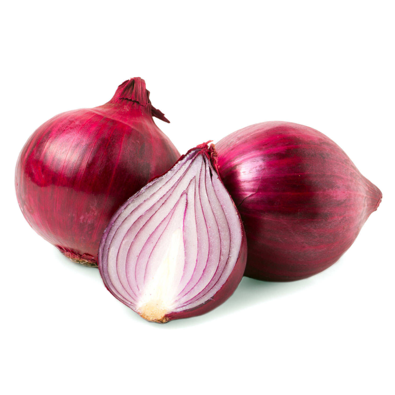 RED ENDIVE BELGIUM (~1KG) - KOJAVM