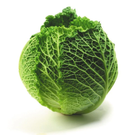 SAVOY CABBAGE AUSTRALIA (~1KG) - KOJAVM