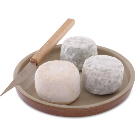 CROTTIN DE CHAVIGNOL AOP (60G) (GOAT) - BEILLEVAIRE