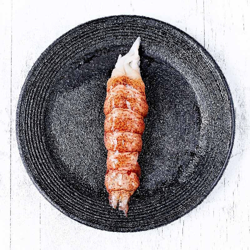 EUROPEAN LOBSTER TAIL SHELL OFF FRZ (~90G) - CINQ DEGRÉS OUEST