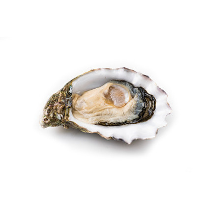 WHOLE OYSTER L N1 MIYAGI JAPAN HONDA SUISAN FRZ (100G-120G)*80 (8KG) - SANRIKU