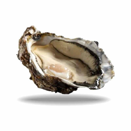 BLACK PEARL N2 48PC OYSTERS BRITTANY (5.5KG) - CADORET