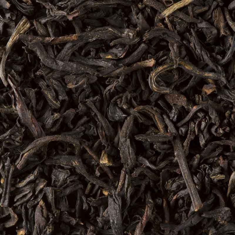 SMOKEY LAPSANG (2G)*24 - BLACK TEA - DAMMANN FRÈRES