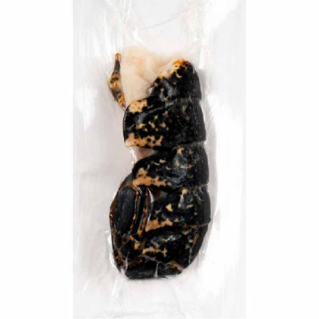 EUROPEAN LOBSTER TAIL SHELL ON FRZ (~350G) - CINQ DEGRÉS OUEST
