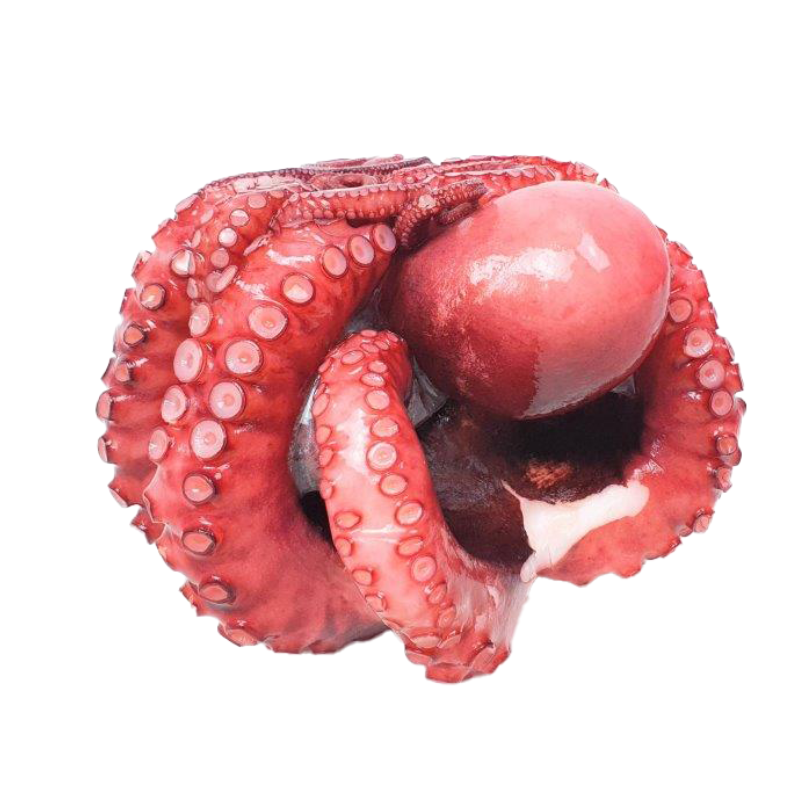 COMMON BOILED OCTOPUS FRZ (~1KG) - SANRIKU