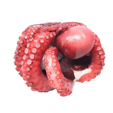COMMON BOILED OCTOPUS FRZ (~1KG) - SANRIKU