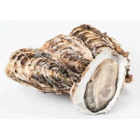 SINGLE SEED OYSTER N3 MIYAGI JAPAN FRZ (60G-75G)*70 (4.2KG) - SANRIKU