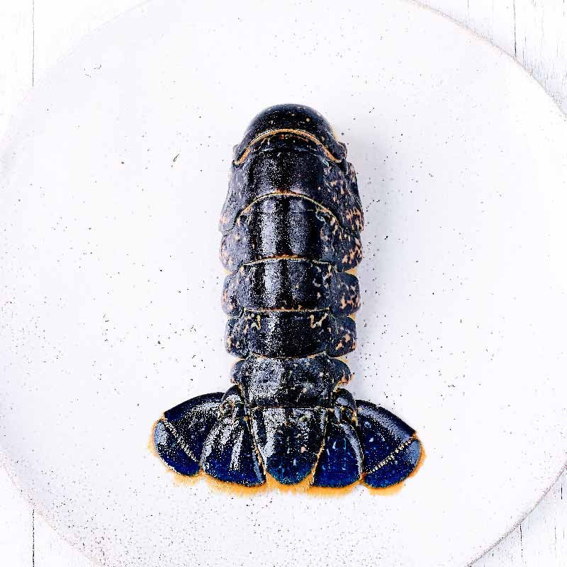 EUROPEAN LOBSTER TAIL SHELL ON FRZ (100G-140G) - CINQ DEGRÉS OUEST