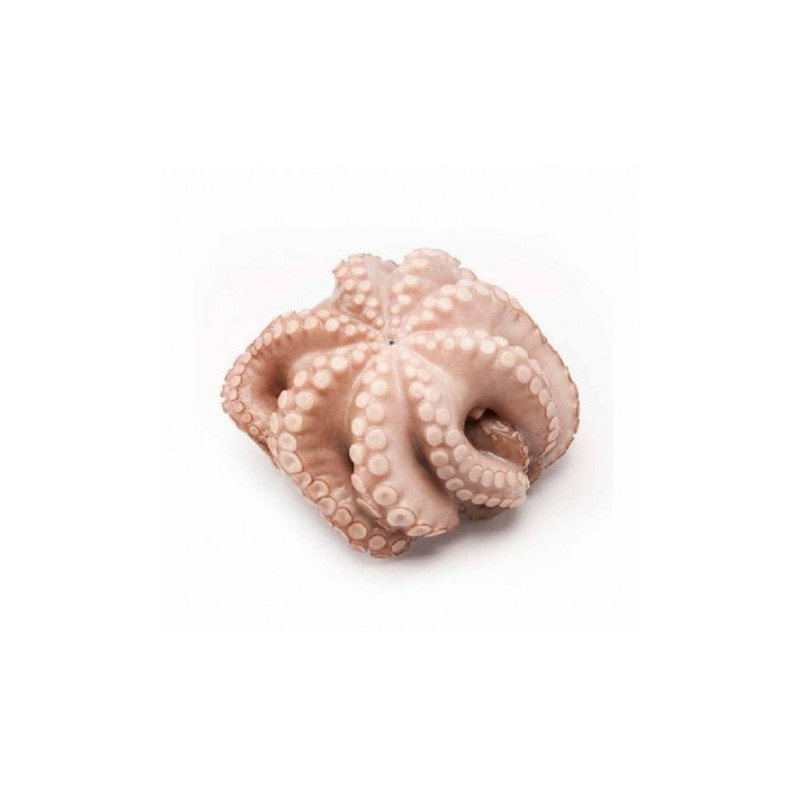 WHOLE OCTOPUS FRZ (~2.5KG) - TERRE D'AZUR