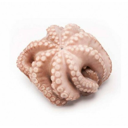 WHOLE OCTOPUS FRZ (~2.5KG) - TERRE D'AZUR