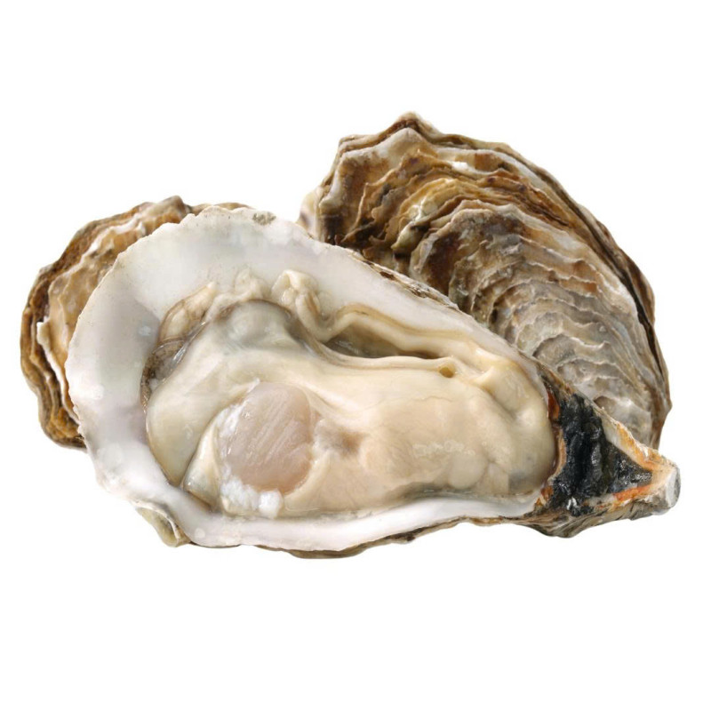 FRESH LOCAL FINE OYSTER NHA TRANG (12-14PC/KG) (~1KG) - CRYSTAL BAY