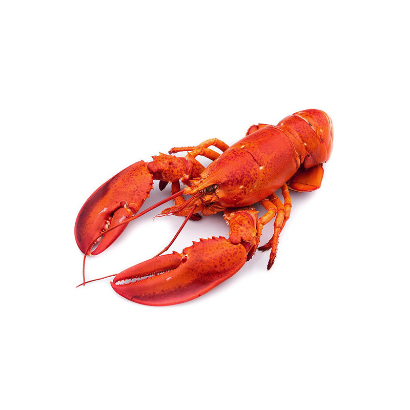 CANADIAN LOBSTER COOKED FRZ (350-500G) - CRYSTAL BAY