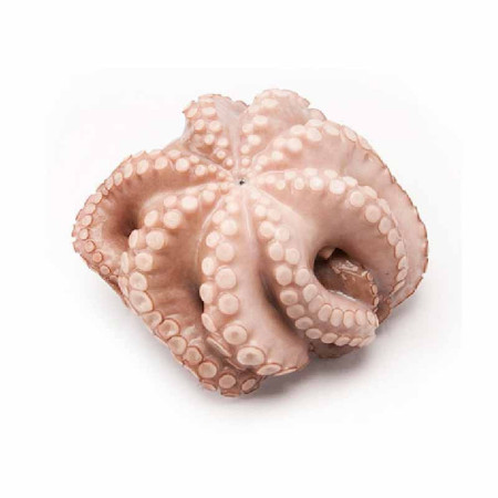 WHOLE OCTOPUS FRZ (1-1.5KG) - CRYSTAL BAY