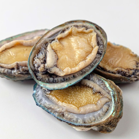 WHOLE ABALONE FRZ 10PC/KG (~1KG) - CRYSTAL BAY