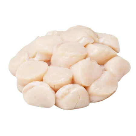 SCALLOPS MEAT FRZ 20/25 (~1KG) - CRYSTAL BAY
