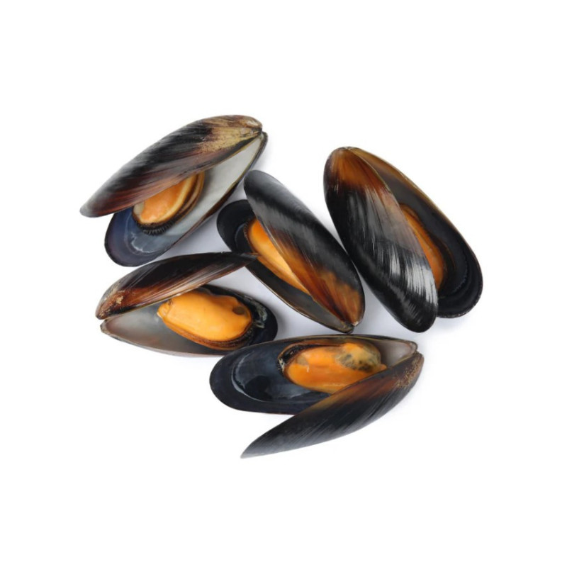WHOLE BLACK MUSSELS COOKED CHILE FRZ 50/70 (~1KG) - CRYSTAL BAY