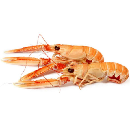LOCAL LANGOUSTINE FRZ (9-11PC/KG) (~500G) -CRYSTAL BAY
