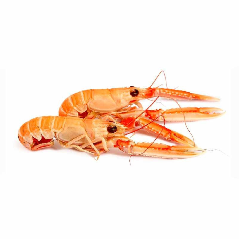 LANGOUSTINE 8/12 DANEMARK FRZ (0.8KG) - FRESH PACK