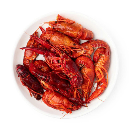 RED SWAMP CRAWFISH KINGS PRE-COOKED LARGE SIZE FRZ ~25-35PC/KG (2.5KG) - JK SOLUTIONS
