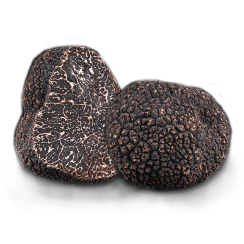 WINTER BLACK TRUFFLE FRZ WHOLE (100G) - PLANTIN