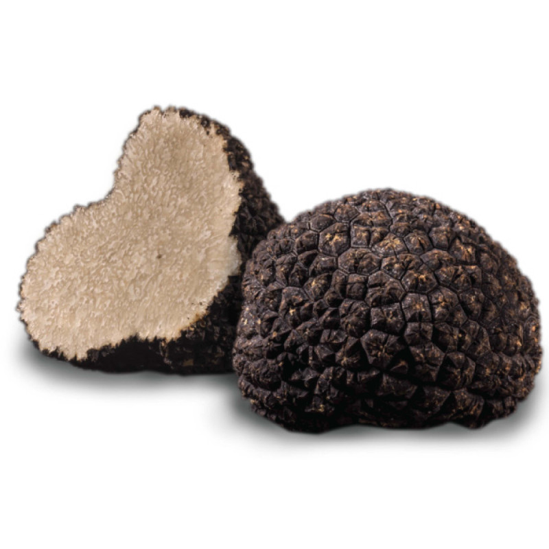 SUMMER TRUFFLE WHOLE FRZ (500G) - PLANTIN