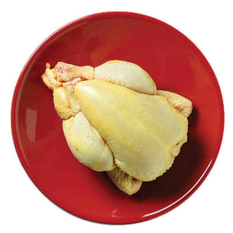 YELLOW BABY CHICKEN COQUELET FRA FRZ (~450G) - SAVEL