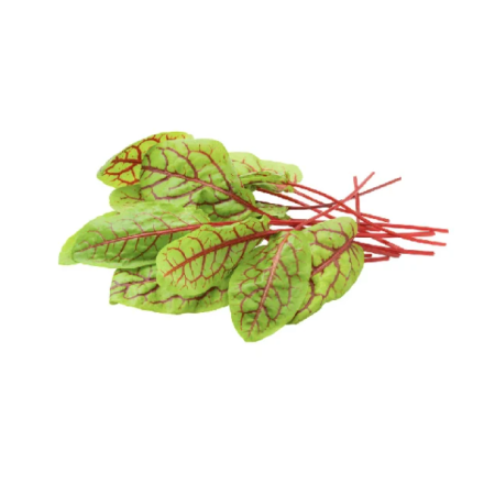 SORREL RED LEAF (12G)  - ORLAR
