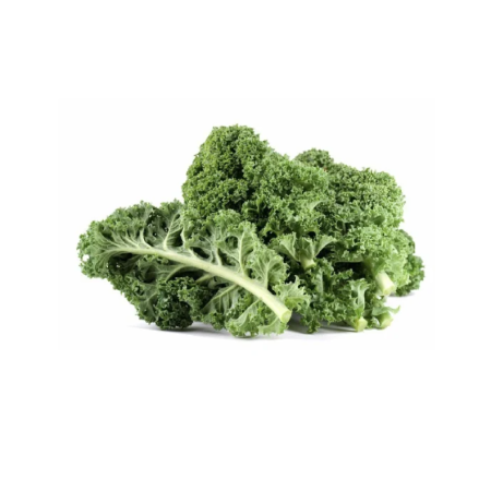 KALE (1KG) - ORLAR