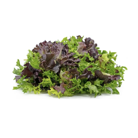 MIXED LETTUCE (1KG) - ORLAR