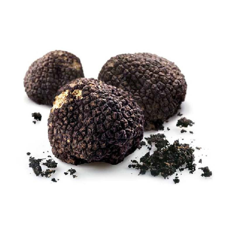 WHOLE SUMMER TRUFFLE (70G) -TARTUFI MORRA