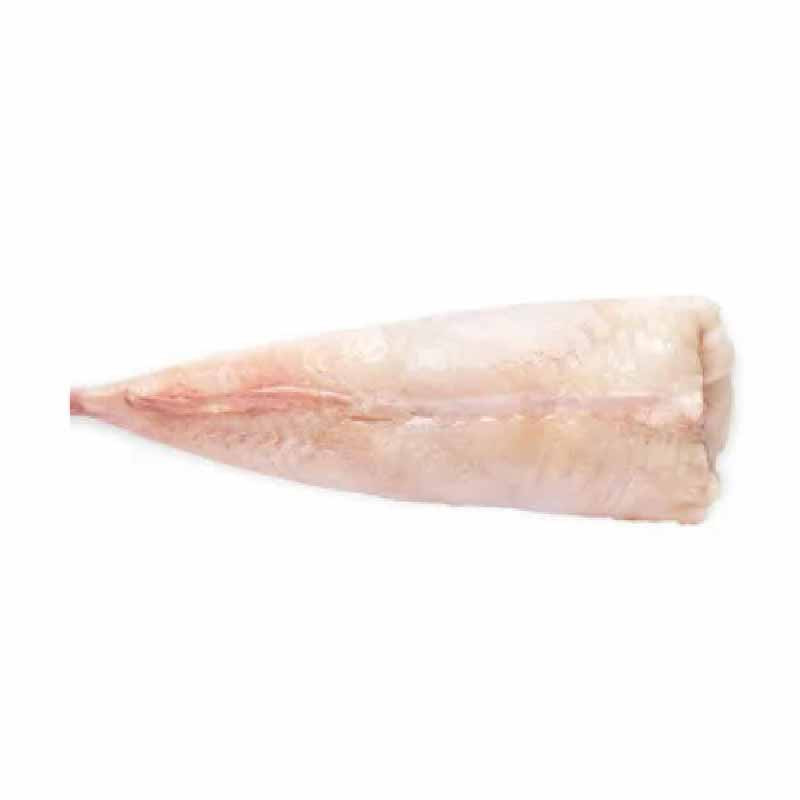 WHOLE GUTTED TURBOT FARMED FRZ (~3KG) - PALAMOS