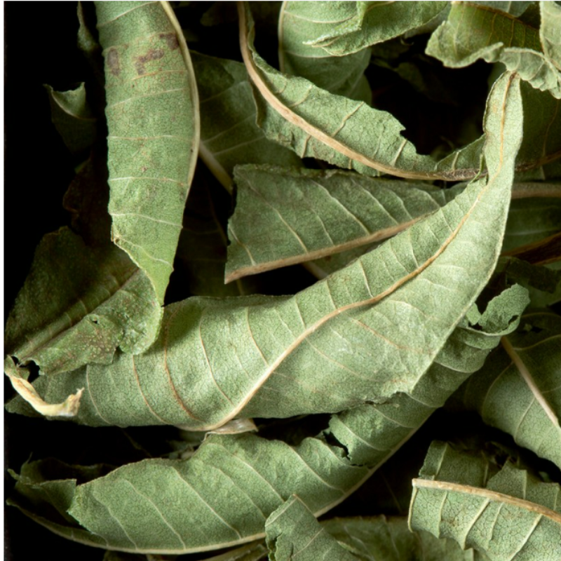 VERVEINE FEUILLES (500G) - HERBAL TEA - DAMMANN FRÈRES