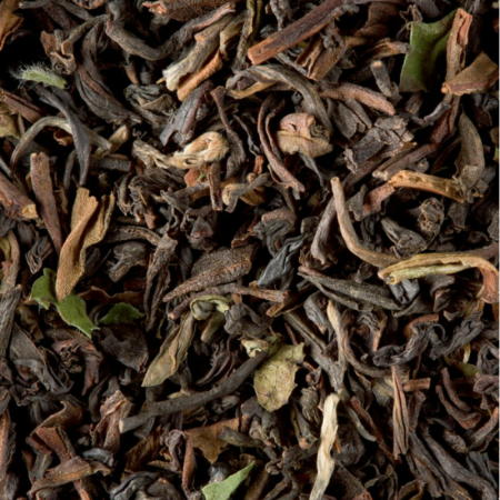 DARJEELING PRINTEMPS GFOP (1KG) - BLACK TEA - DAMMANN FRÈRES