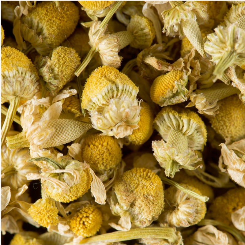 CAMOMILLE (400G) - HERBAL TEA - DAMMANN FRÈRES
