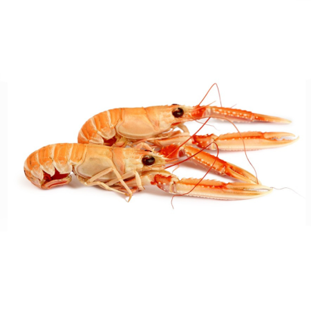 LANGOUSTINE 2/4 DANEMARK FRZ (0.8KG) - FRESH PACK