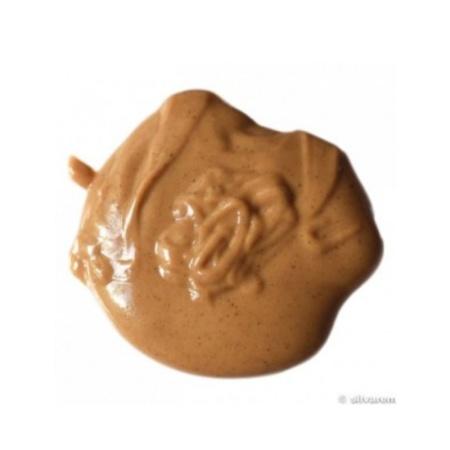 HAZELNUT PRALINE 50% (1KG) - FLAVORS AND CHEFS