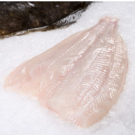 FARMED TURBOT FILLET FRZ (250-300G) (~1.2KG) - PALAMOS