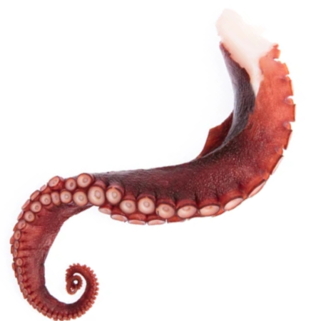 GIANT OCTOPUS LEG BOILED FRZ KOSHIDO SHOUTEN (~0.8KG) - SANRIKU
