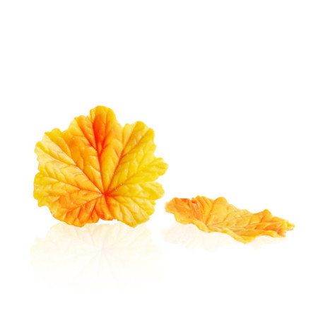 FALL LEAF YELLOW - C24 - DOBLA