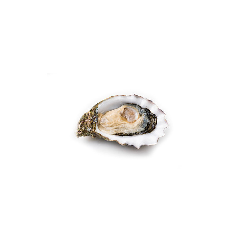 WHOLE OYSTER L N1 MIYAGI JAPAN HONDA SUISAN FRZ (100G-120G)*80 (8KG) - SANRIKU