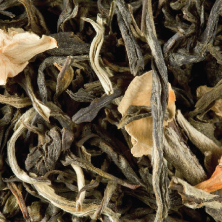 PASSION DE FLEURS (2G)*24 - WHITE TEA - DAMMANN FRÈRES