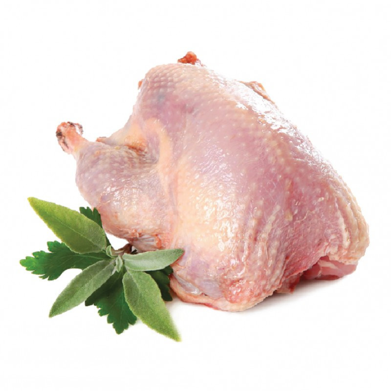 PIGEON OVEN READY FRZ (400-450G) - SONEVOL