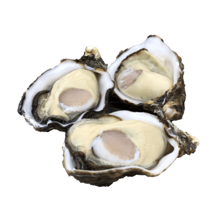WHOLE SHELL OYSTER M MIYAGI FRZ  JAPAN (80GX40PC) (3.2KG) - SANRIKU