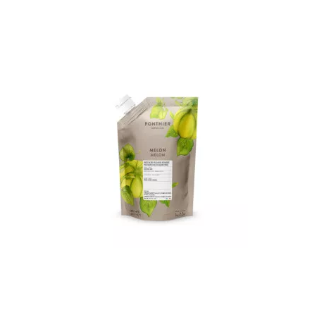 MELON PUREE CHILLED 10% SUGAR (1KG) - PONTHIER