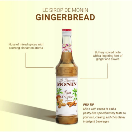 GINGERBREAD SYRUP (700ML) - MONIN