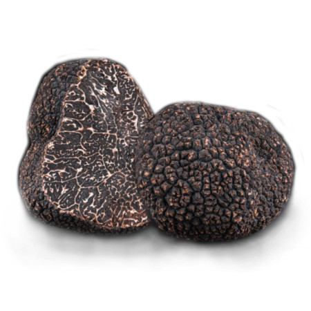 WINTER BLACK TRUFFLE FRZ WHOLE (100G) - PLANTIN