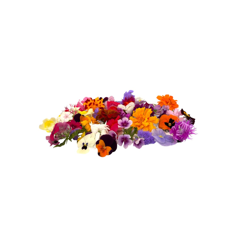 MIXED EDIBLE FLOWERS (12G) - ORLAR