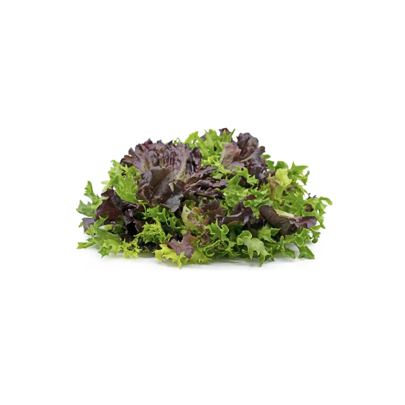 MIXED LETTUCE (300G) - ORLAR